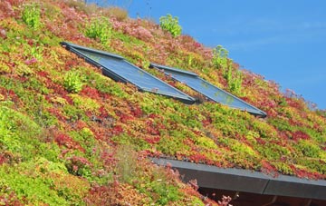 Farnham Park living roof systems